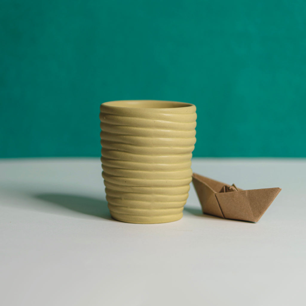 Kaccha Aam Tumbler | 330ml