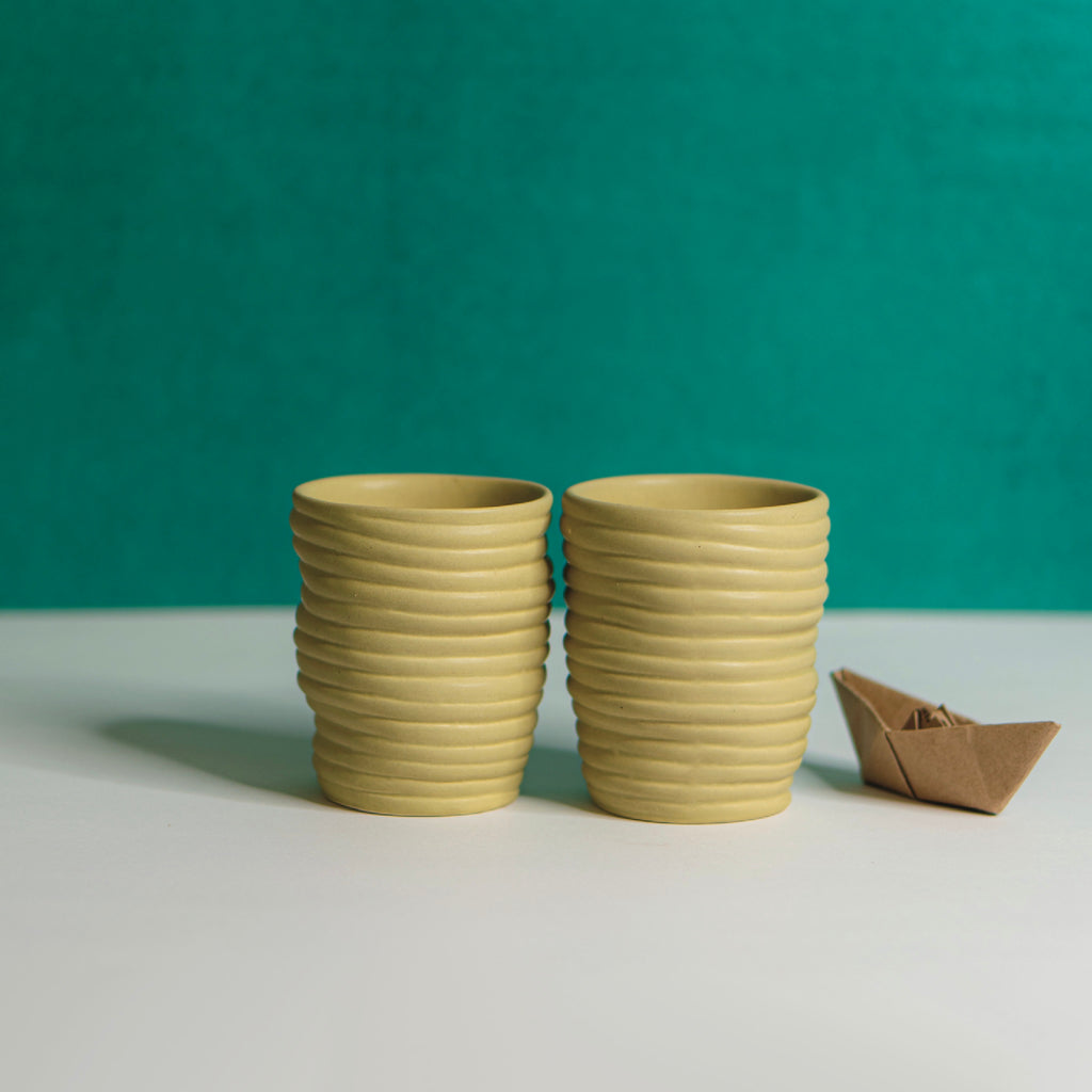 Kaccha Aam Tumbler | 330ml